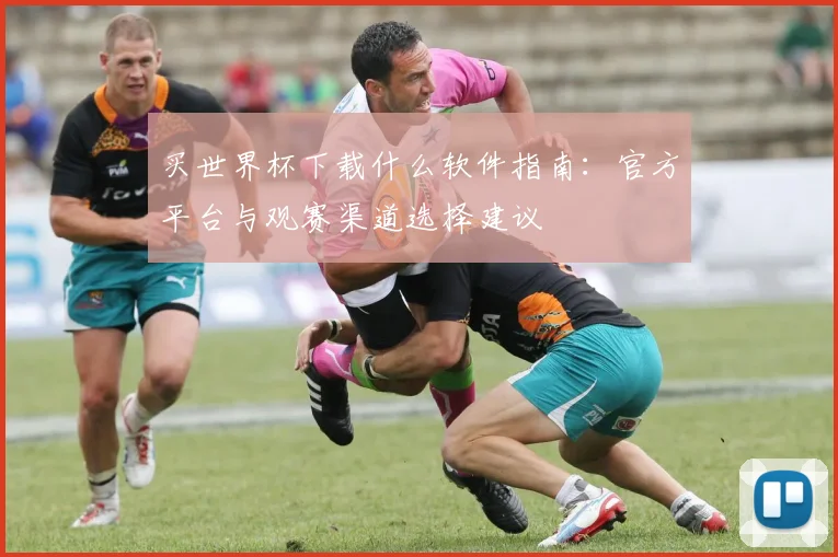 买世界杯下载什么软件指南：官方平台与观赛渠道选择建议