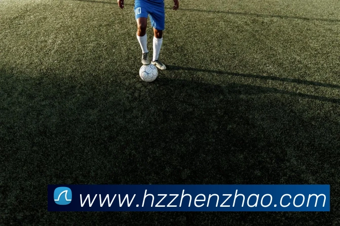 多媒体互动体验